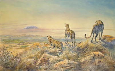 Guépard avec Kilimandjaro en arrière-plan, 1991